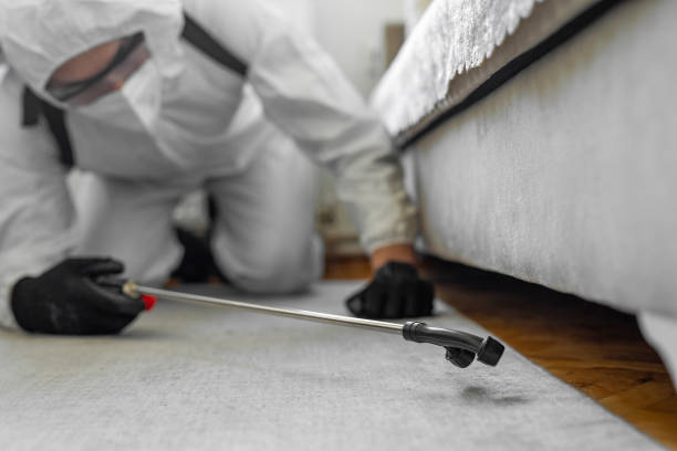 Professional Termite Control technician working in Roselle Park, NJ