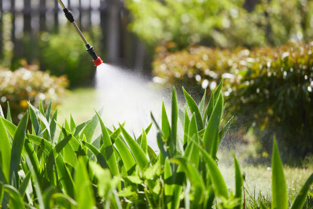 24/7 Emergency Termite Control experts in Roselle Park, NJ
