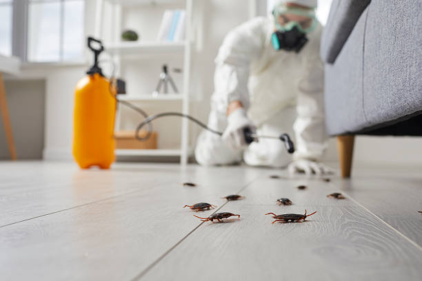 Trusted Fumigation Services service in Roselle Park, NJ - Nex Pest Control