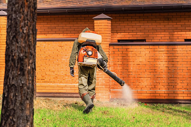 Trusted Emergency Pest Control service in Roselle Park, NJ - Nex Pest Control